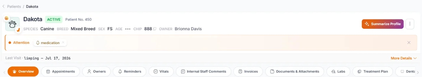 AI Patient Profile Summary, Accessing the AI Patient Profile Summary