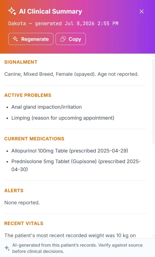 AI Patient Profile Summary, What the summary contains
