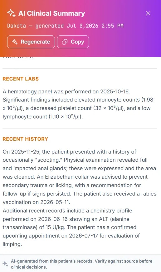 AI Patient Profile Summary, What the summary contains