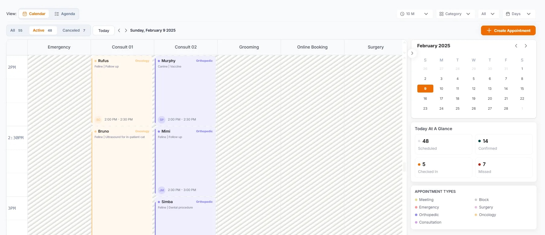 Calendar Views and Navigation, Category view (Day)