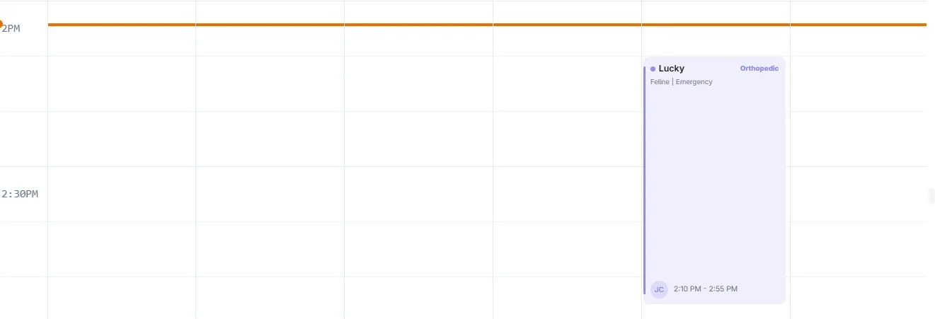 Calendar Views and Navigation, Provider view