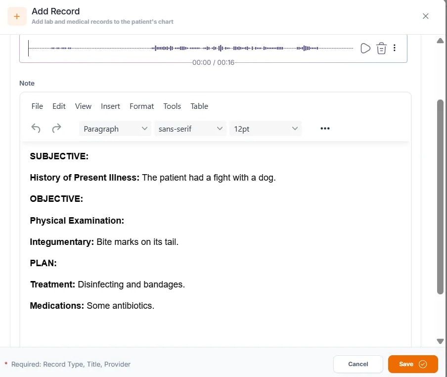 Creating a Medical Note, AI Medical Note Dictation
