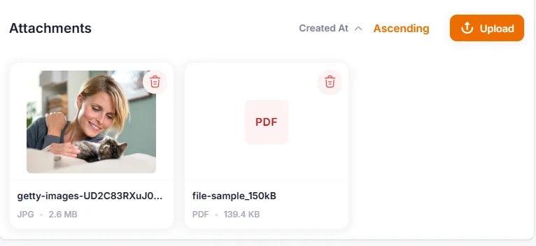 Documents and Attachments, Viewing Existing Attachments