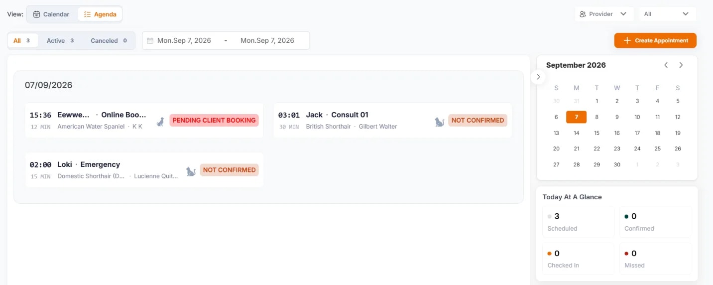 Managing Your Calendar, Agenda view