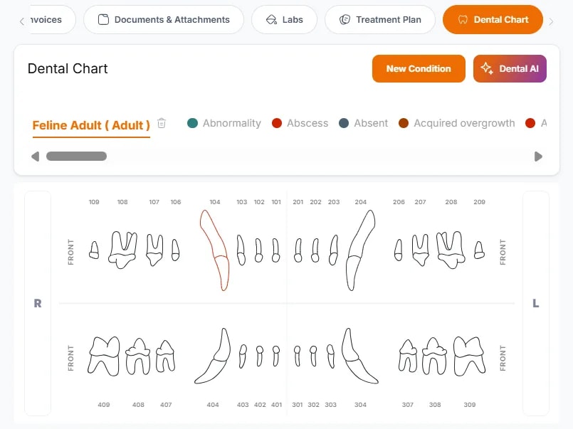 Patient Profiles, Dental Chart: