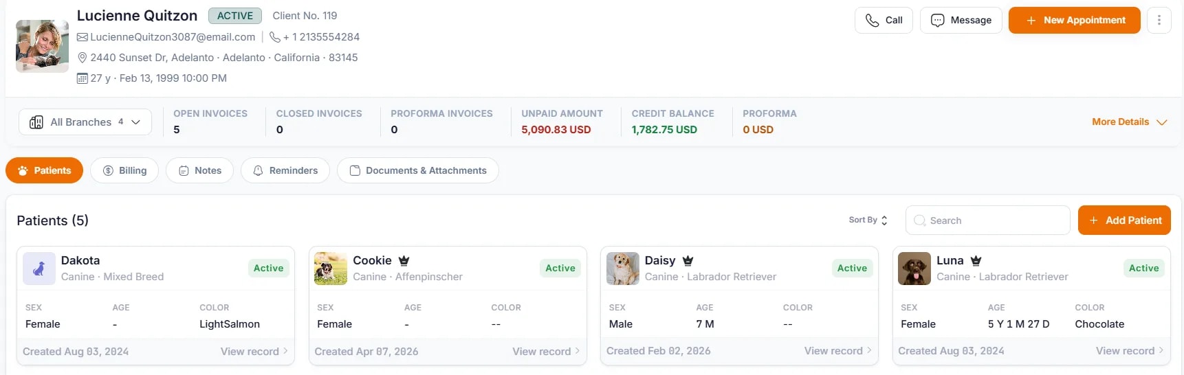 Searching for Clients and Patients, Finding a patient from a client profile