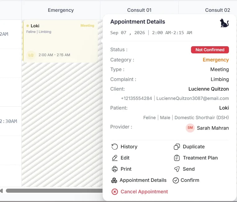 Searching for Clients and Patients, Finding a patient from the calendar