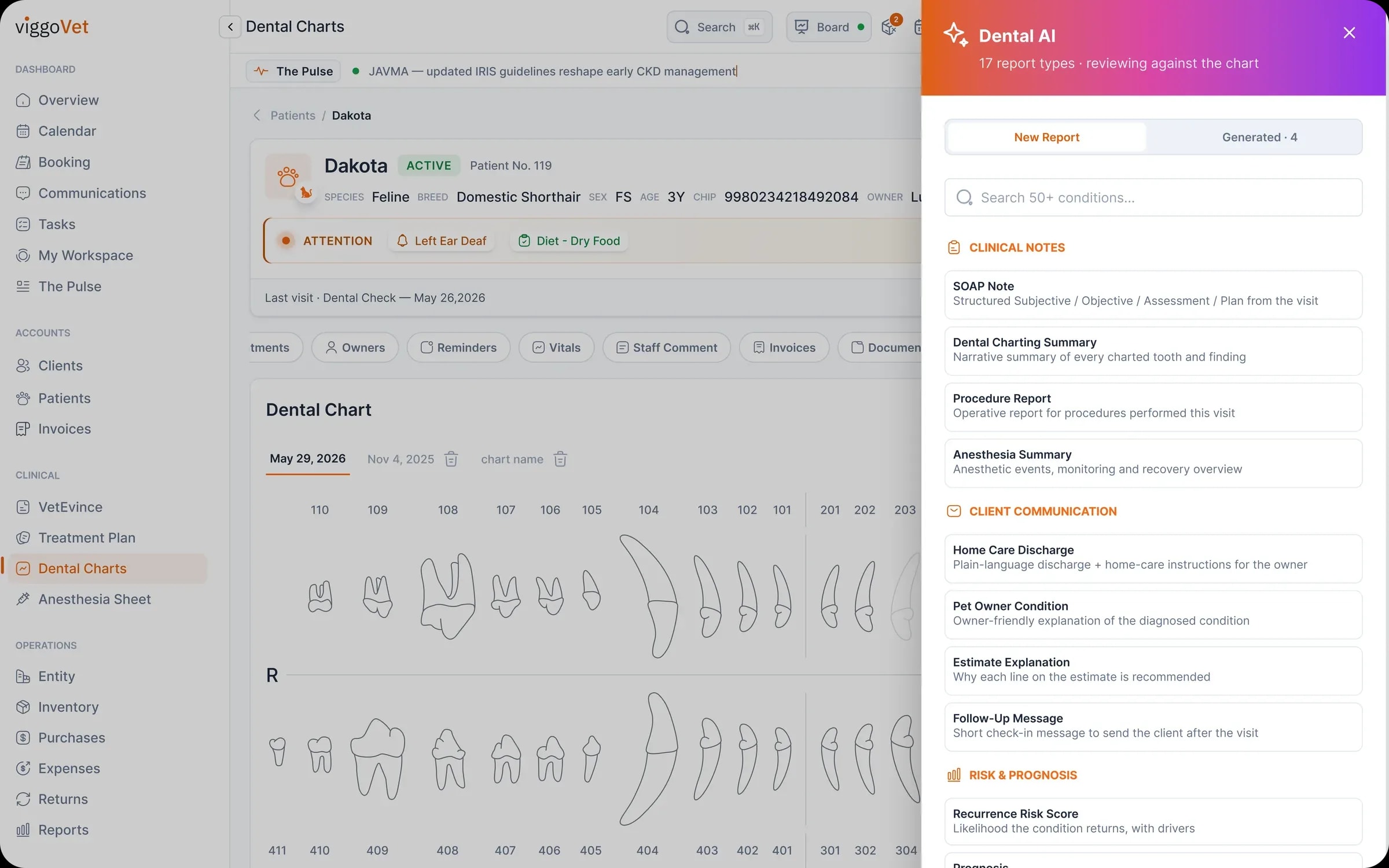 Dental AI generating clinical notes, procedure reports and owner explanations from the chart
