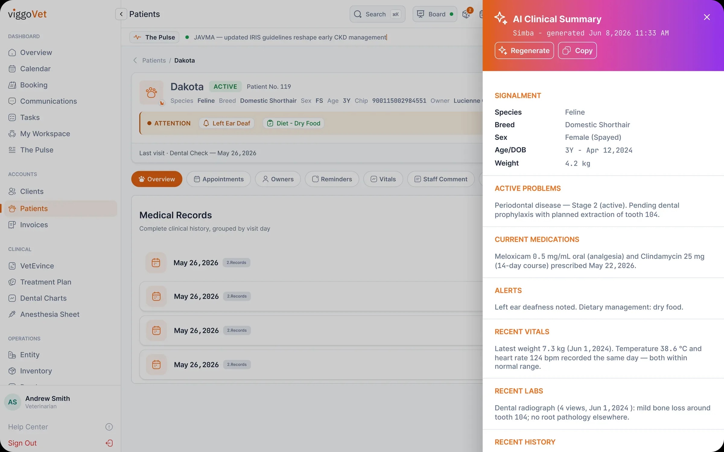 A patient record with an AI clinical summary of active problems, medications, alerts, vitals and labs