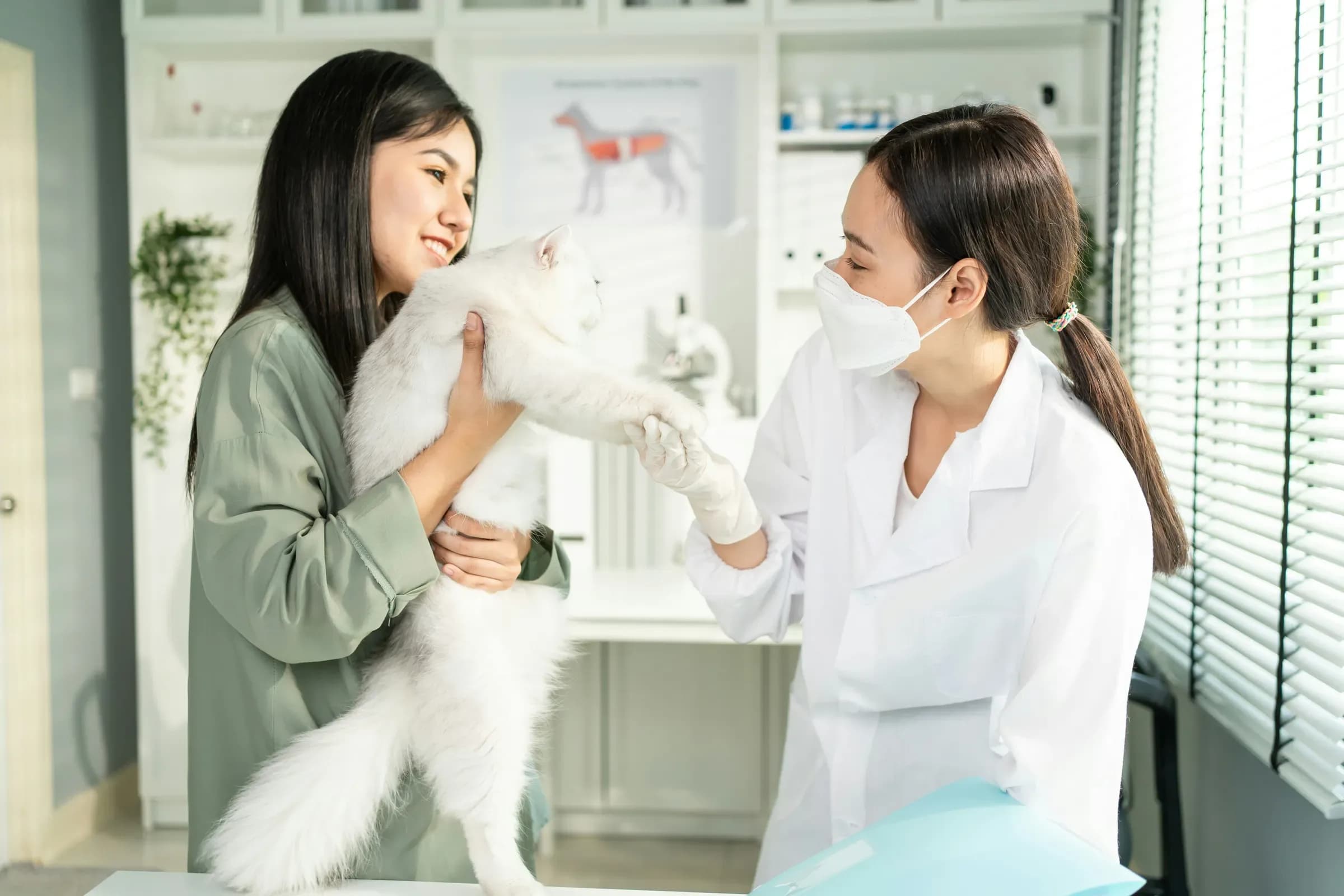 Anesthesia-free dental cleaning: what to say when an owner asks