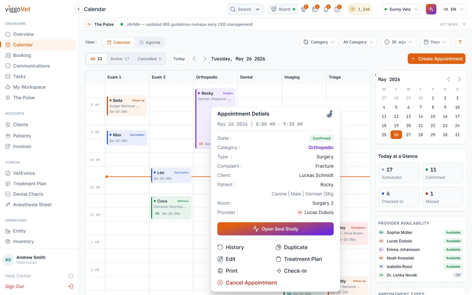 The clinic calendar by room, with appointment details, provider availability and today at a glance