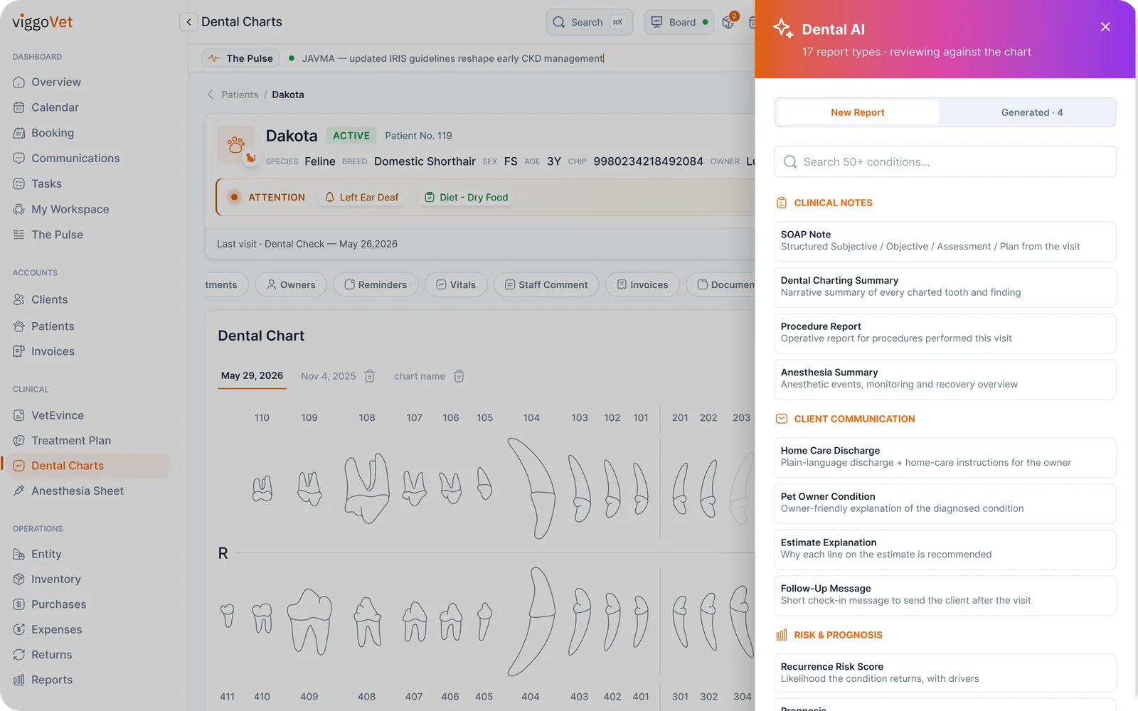 Dental AI generating clinical notes, procedure reports and owner explanations from the chart