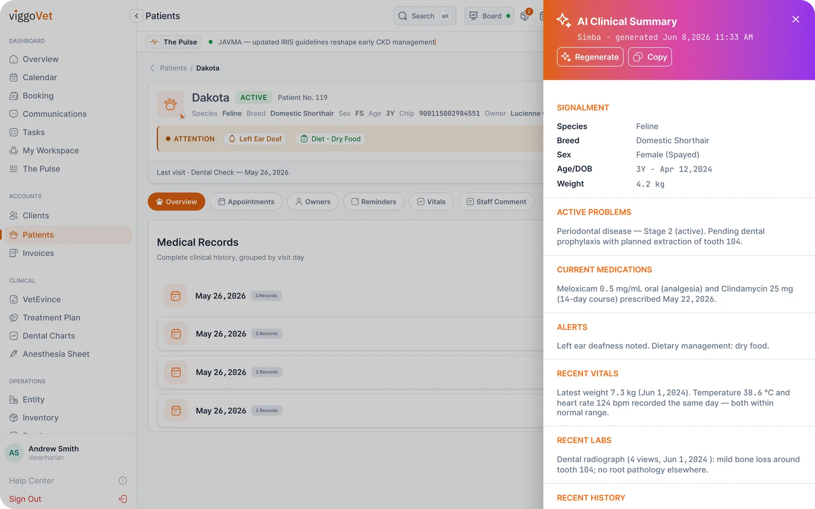A patient record with an AI clinical summary of active problems, medications, alerts, vitals and labs