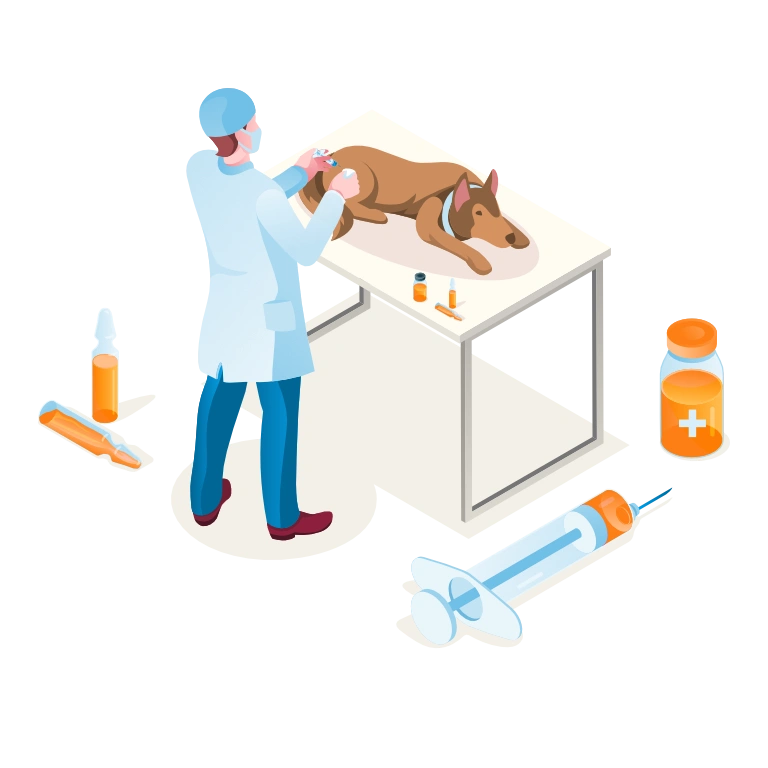 general practice