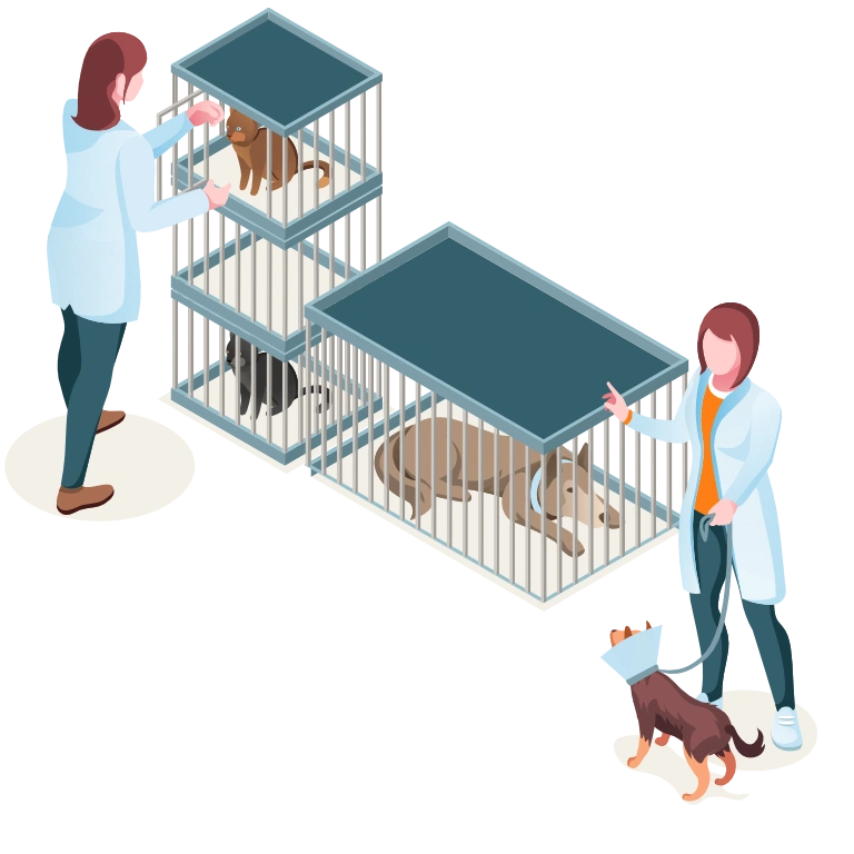 mobile vet clinic