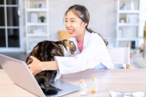 Stress-free Veterinarian