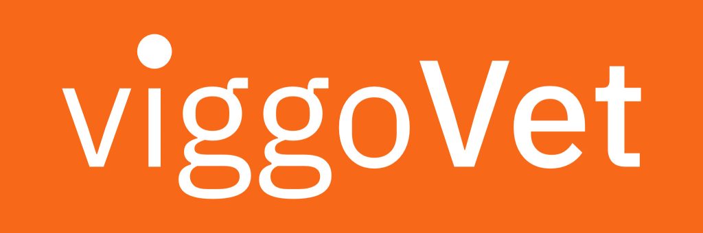 viggoVet
